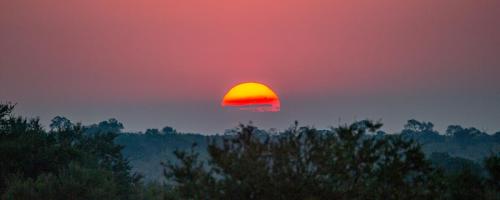 DURBAN BUSH SUNRISE